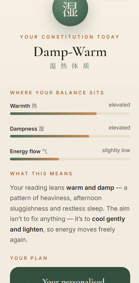HE 体质洞察结果 · Damp-Warm